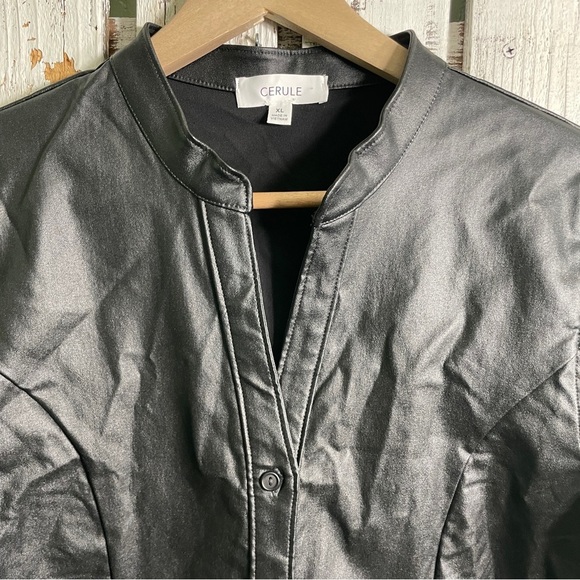 Cerule Black Faux Leather Top Womens Size XL Button Up V-neck Romantic Night Out - Picture 5 of 10